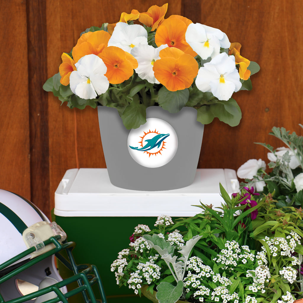 Miami DolphinsCeramic Pumpkin Helmet - For The Deep Rooted Fan