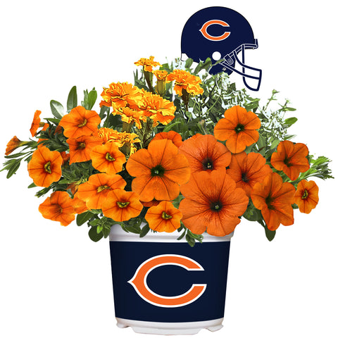 Chicago Bears<br>Warm Weather Flower Mix