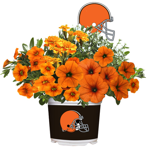 Cleveland Browns<br>Warm Weather Flower Mix