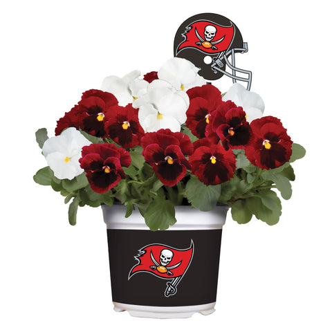 Tampa Bay Buccaneers<br>Cool Weather Flower Mix