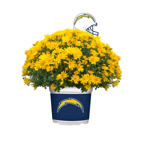 Los Angeles Chargers<br>Team Color Mum