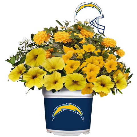Los Angeles Chargers<br>Warm Weather Flower Mix