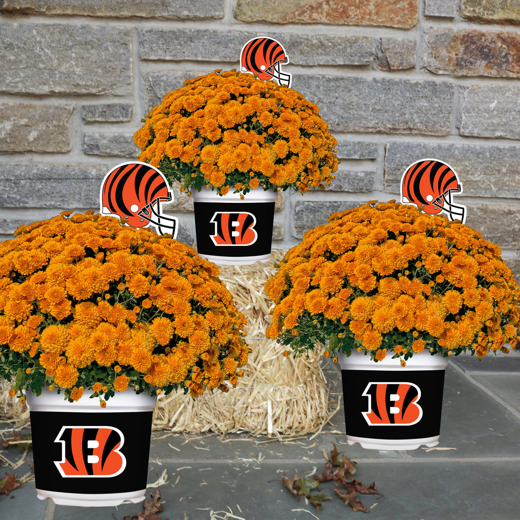 Personalized Name Cincinnati Bengals NFL Luxury Flower Summer