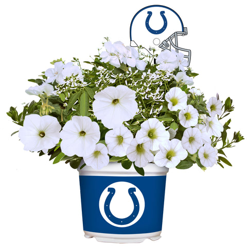Indianapolis Colts<br>Warm Weather Flower Mix