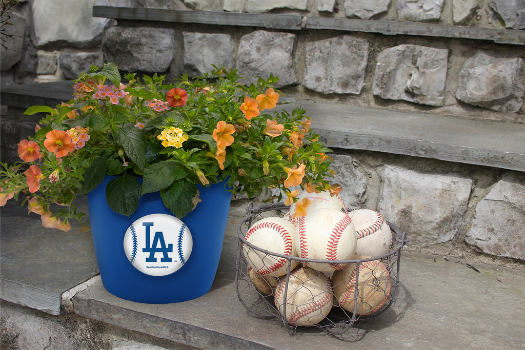 plant pots los angeles Los Angeles DodgersButton Pot - 2 Pack