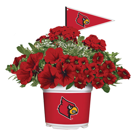 Louisville Cardinals<br>Warm Weather Flower Mix
