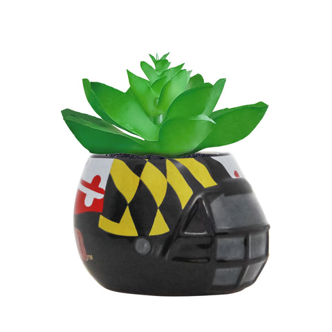 Maryland Terrapins - Ceramic Helmet Planter –<br> Faux Succulent - Pack Of Two