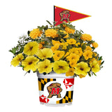 Maryland Terrapins<br>Warm Weather Flower Mix