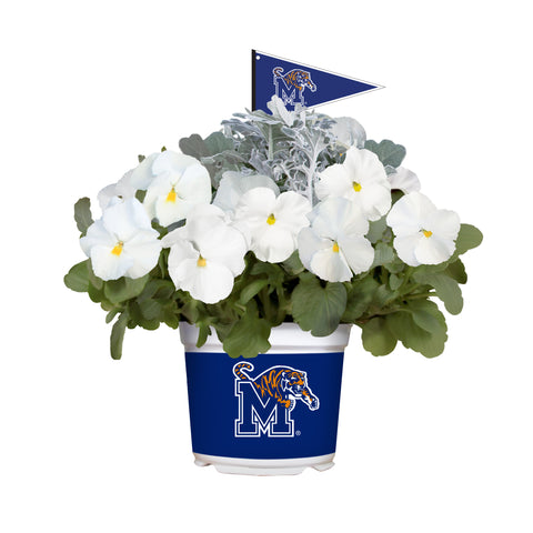 Memphis Tigers<br>Cool Weather Flower Mix