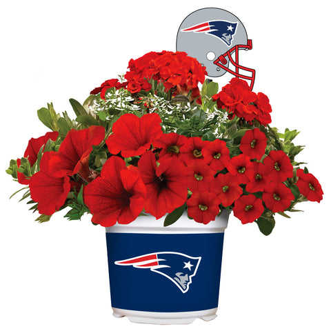 New England Patriots<br>Warm Weather Flower Mix