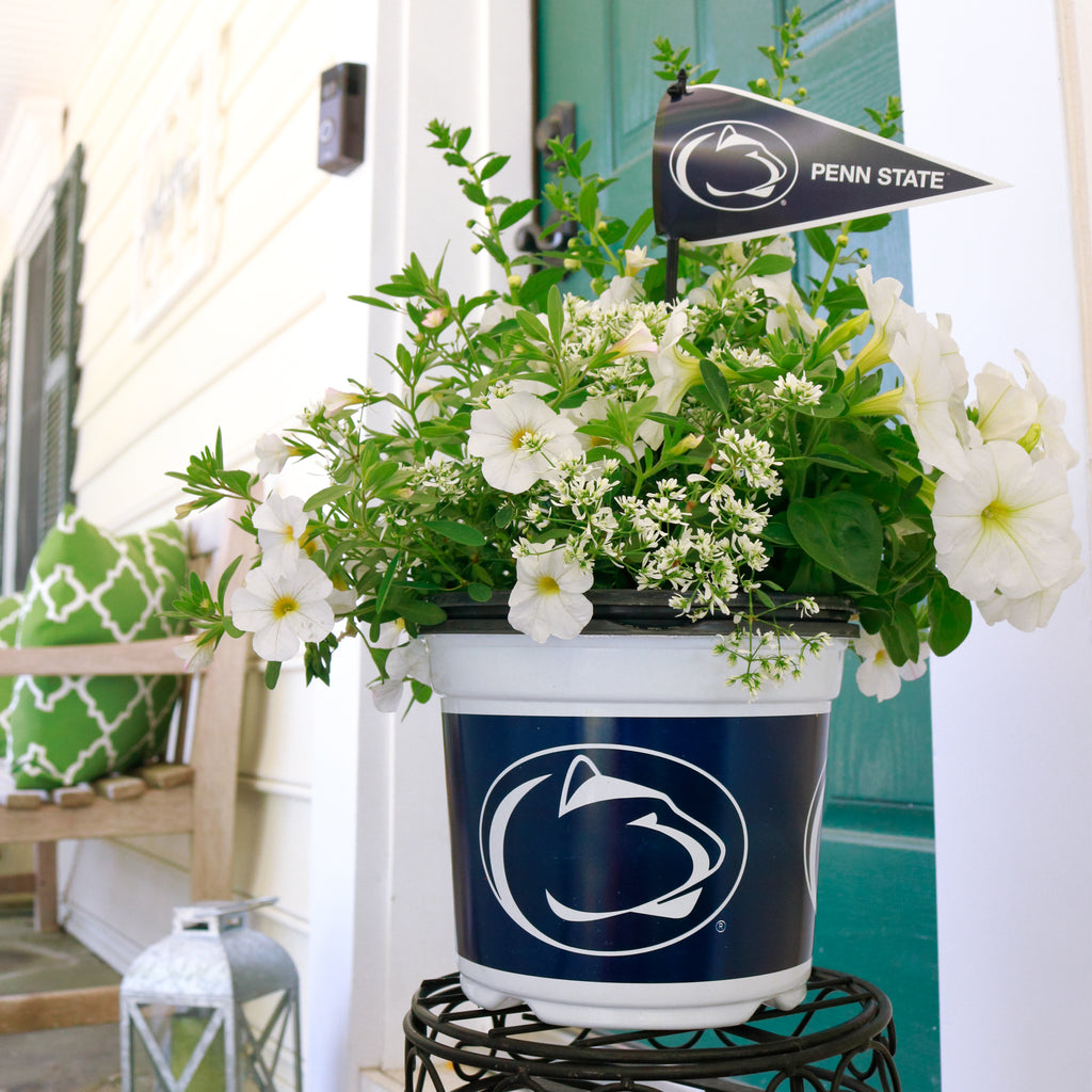 http://sporticulture.com/cdn/shop/products/Penn-State-Nittany-Lions-Spring-Annual-Mix-Lifestyle-1_1024x1024.jpg?v=1679167370