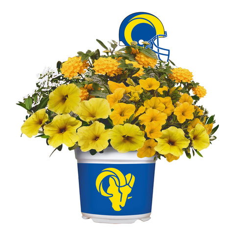 Los Angeles Rams<br>Warm Weather Flower Mix