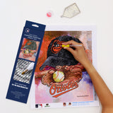 Baltimore Orioles<br>Diamond Painting Craft Kit