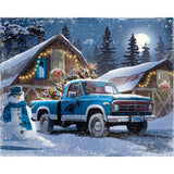 Carolina Panthers<br>LED Lite Box Four Seasons Art