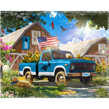 Carolina Panthers<br>LED Lite Box Four Seasons Art