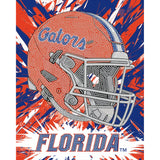 Florida Gators<br>Helmet Diamond Painting Craft Kit