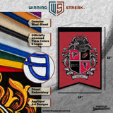 Atlanta Falcons<br>Winning Streak Team Crest Banner