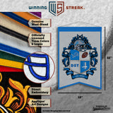 Detroit Lions<br>Winning Streak Team Crest Banner