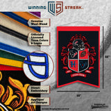 Houston Texans<br>Winning Streak Team Crest Banner