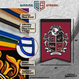South Carolina Gamecocks<br>Winning Streak Team Crest Banner