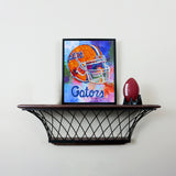 Florida Gators<br>Diamond Painting Craft Kit