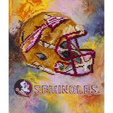 Florida State Seminoles<br>Diamond Painting Craft Kit