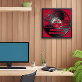 Georgia Bulldogs<br>Vinyl Record Print