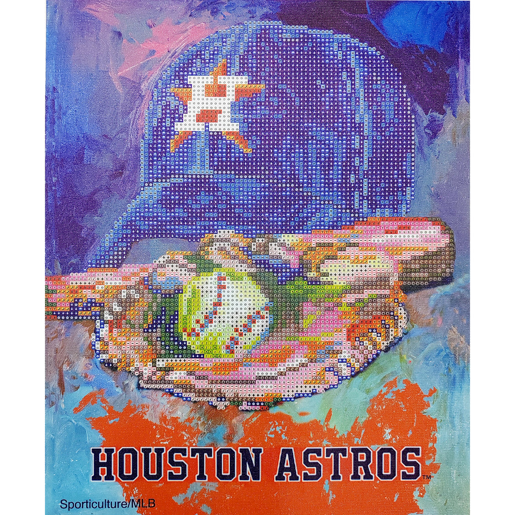 Houston AstrosDiamond Painting Craft Kit - For The Deep Rooted Fan ...