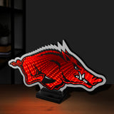 Arkansas Razorbacks<br>LED Infinity Logo Light
