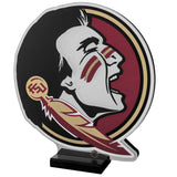 Florida State Seminoles<br>LED Infinity Logo Light