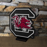South Carolina Gamecocks<br>LED Infinity Logo Light