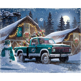 Miami Dolphins<br>LED Lite Box Four Seasons Art