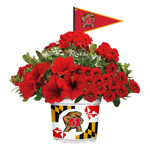 Maryland Terrapins<br>Warm Weather Flower Mix