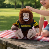 Iowa Hawkeyes<br>Big Footballer Premium Plush