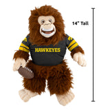 Iowa Hawkeyes<br>Big Footballer Premium Plush
