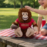 San Francisco 49ers<br>Big Footballer Premium Plush