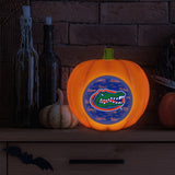 Florida Gators<br>LED 3D Logo Resin Pumpkin