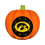 Iowa Hawkeyes<br>LED 3D Logo Resin Pumpkin