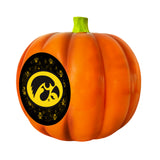 Iowa Hawkeyes<br>LED 3D Logo Resin Pumpkin