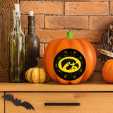 Iowa Hawkeyes<br>LED 3D Logo Resin Pumpkin