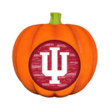 Indiana Hoosiers<br>LED 3D Logo Resin Pumpkin