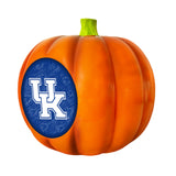 Kentucky Wildcats<br>LED 3D Logo Resin Pumpkin