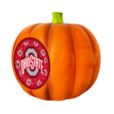 Ohio State Buckeyes<br>LED 3D Logo Resin Pumpkin
