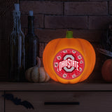 Ohio State Buckeyes<br>LED 3D Logo Resin Pumpkin