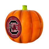 South Carolina Gamecocks<br>LED 3D Logo Resin Pumpkin
