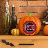 South Carolina Gamecocks<br>LED 3D Logo Resin Pumpkin