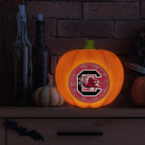 South Carolina Gamecocks<br>LED 3D Logo Resin Pumpkin