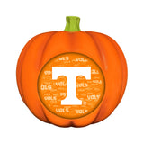 Tennessee Volunteers<br>LED 3D Logo Resin Pumpkin