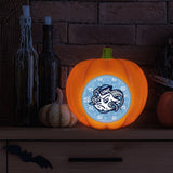 North Carolina Tar Heels<br>LED 3D Logo Resin Pumpkin