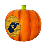 West Virginia Mountaineers<br>LED 3D Logo Resin Pumpkin